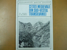 Ceta?i medievale din sud-vestul Transilvaniei, Bucure?ti 1968 Anghel, Berciu 066 foto