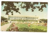 % carte postala(ilustrata)-AMARA-IALOMITA-Cantina restaurant