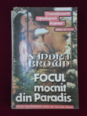 Sandra Brown - Focul mocnit din paradis - 405902 foto