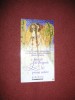 Povesti de dragoste la prima vedere - Gabriel Liiceanu, Blandiana, Bittel - Humanitas, 2008 - DVD Filme