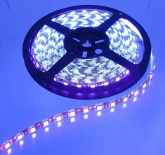 5M Purple / Blacklight 60LED/M IP20 White PCB SMD3528 AL054 foto