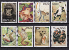 Rwanda 1978 fauna maimute MI 922-929 MNH w14 foto