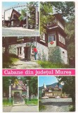 % carte postala(ilustrata)-MURES Cabane din judet