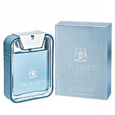 Trussardi Blue Land EDT 100 ml pentru barbati foto