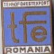 Insigna TFE Tehnoforestexport Romania