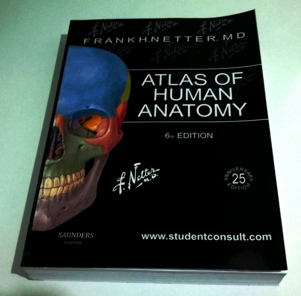 Atlas of Human Anatomy F.H.Netter 6th ed./ Atlas Netter ed.6