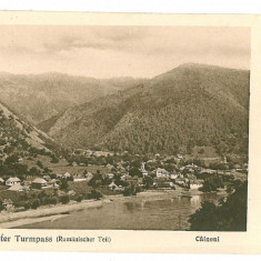 343 - CAINENI, Valcea, Valea Oltului - old postcard - unused