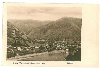 343 - CAINENI, Valcea, Valea Oltului - old postcard - unused foto