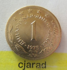 Moneda 1 Dinar - Yugoslavia 1975 *cod 1557 foto