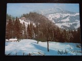 SEPT15-Vedere/Carte postala-Predeal-Piriul rece-necirculata