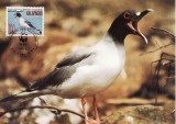 2820 - carte maxima Ecuador 1992