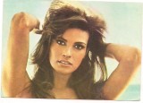 % carte postala-ACTORI SI INTERPRETI-Raquel Welch, Necirculata, Printata