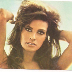 % carte postala-ACTORI SI INTERPRETI-Raquel Welch