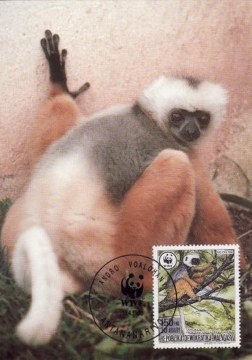 2812 - carte maxima Madagascar 1988