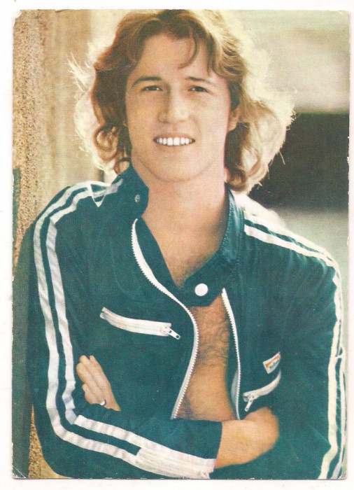 % carte postala-ACTORI SI INTERPRETI-Andy Gibb