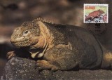 2819 - carte maxima Ecuador 1992