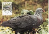 2824 - carte maxima Madeira 1991