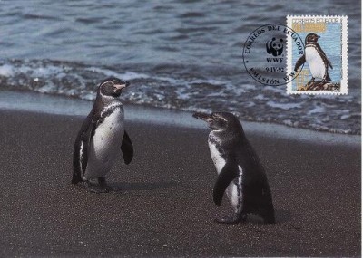 2818 - carte maxima Ecuador 1992 foto