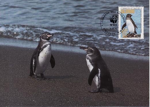 2818 - carte maxima Ecuador 1992