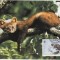 2815 - carte maxima Irlanda 1992