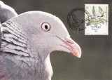 2825 - carte maxima Madeira 1991