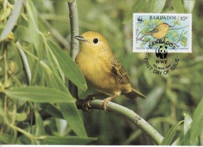 2835 - carte maxima Barbados 1991 foto