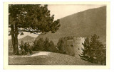 2078 - BRASOV, Romania - old postcard - unused, Necirculata, Printata
