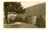 2078 - BRASOV, Romania - old postcard - unused