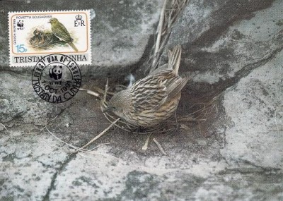 2830 - carte maxima Tristan da Cunha 1991 foto