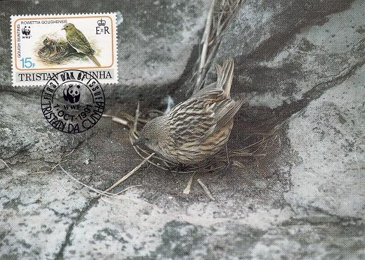 2830 - carte maxima Tristan da Cunha 1991