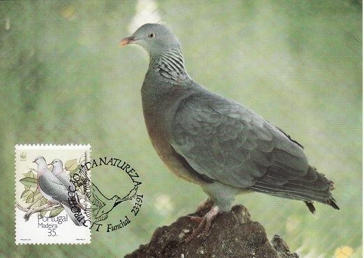 2823 - carte maxima Madeira 1991
