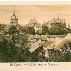 901 - SIGHISOARA, Mures, Panorama, Romania - old postcard - unused