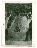 3011 - BUCURESTI, Expozitia Gen. Toboganul - old postcard - unused - 1906, Necirculata, Printata