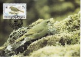 2828 - carte maxima Tristan da Cunha 1991