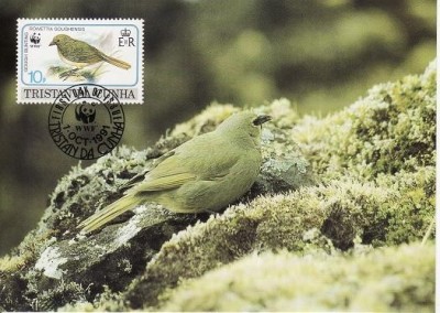 2828 - carte maxima Tristan da Cunha 1991 foto
