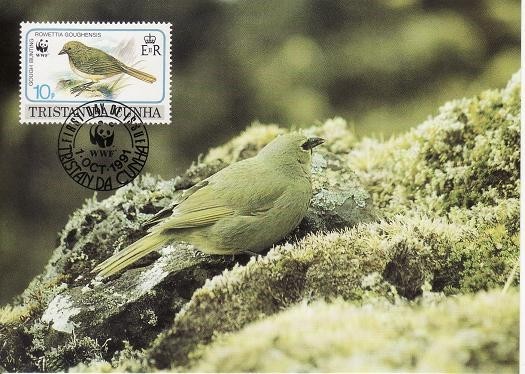 2828 - carte maxima Tristan da Cunha 1991