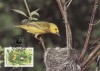 2838 - carte maxima Barbados 1991