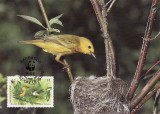 2838 - carte maxima Barbados 1991