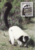 2813 - carte maxima Madagascar 1988