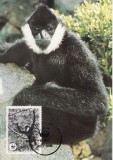 3097 - carte maxima Vietnam 1987