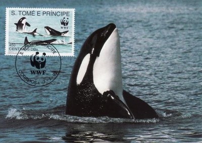 2854 - carte maxima S.Tome si Principe 1992 foto