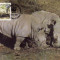 3083 - carte maxima Swaziland 1987