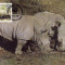 3083 - carte maxima Swaziland 1987