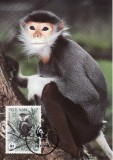 3099 - carte maxima Vietnam 1987