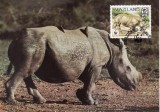 3082 - carte maxima Swaziland 1987