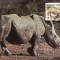 3082 - carte maxima Swaziland 1987