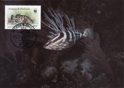 3090 - carte maxima Antigua si Barbuda 1987 foto