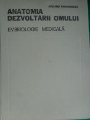 Anatomia dezvoltarii omului/ embriologie medicala- Armand Andronescu foto