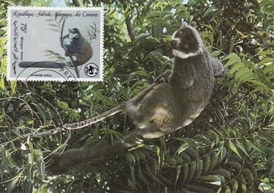 3078 - carte maxima Comores 1987 foto