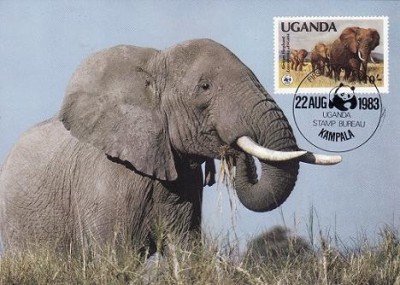 3114 - carte maxima Uganda 1988 foto